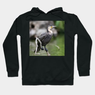 Cormorant Hoodie